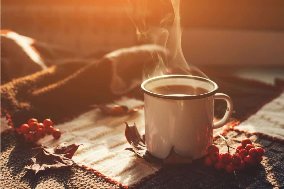 a cup of coffee.